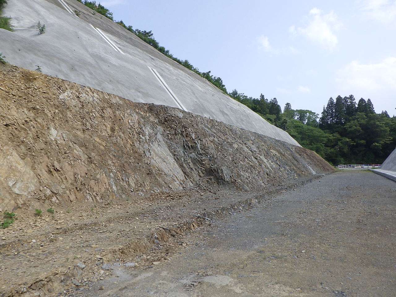 唐桑町小鯖地区 法面保護工事 未施工部の地山